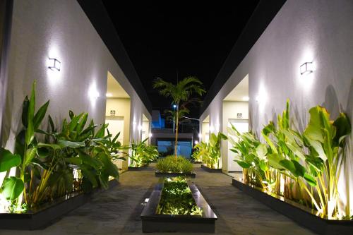 オリンピアにあるFlat Berlim Piscina e Confortoの夜の建物内の植物のある中庭