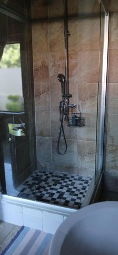 een douche met een glazen deur in een badkamer bij Apartment 505 in Gaborone