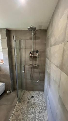 a shower with a glass door in a bathroom at Gîtes du Grand Replomb, Les Artistes, Piscine et Jacuzzi in Sainte-Agnès