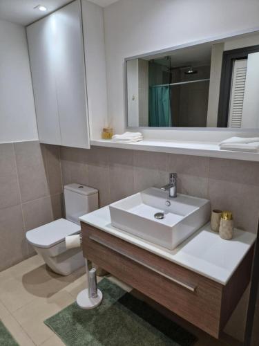 a bathroom with a sink and a toilet and a mirror at Puna Horizon apartment in Punaauia