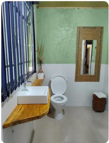 a bathroom with a toilet and a sink and a mirror at Recanto da paz in Monte Verde