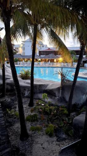 a swimming pool with palm trees in a resort at Ti Coco Vanni Studio Sea View in Belle-Allée