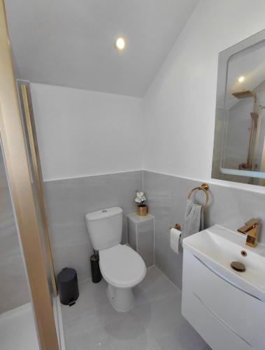 a white bathroom with a toilet and a sink at Blue Door Apartments in Dover