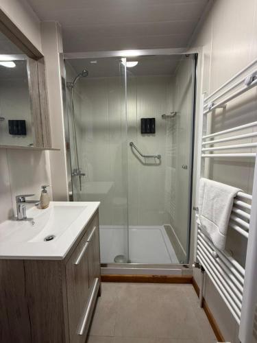 a bathroom with a shower and a sink and a glass shower backdoor at Cabañas AlSur Patagonia in Puerto Natales