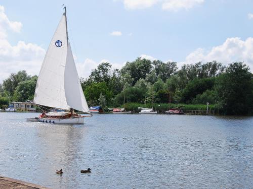 a sail boat and two ducks in the water at Heron's View - 28279 in Brundall