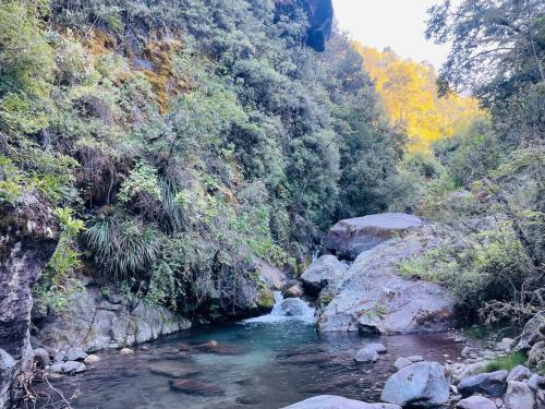 Φυσικό τοπίο κοντά σε αυτή η παραθεριστική κατοικία