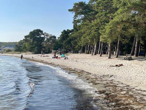 a beach with people laying on the sand and trees at 4 person holiday home in SÖLVESBORG in Hällevik