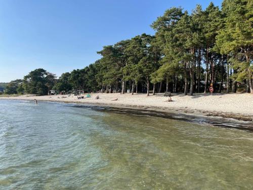 a beach with trees and people laying on the sand at 4 person holiday home in SÖLVESBORG in Hällevik