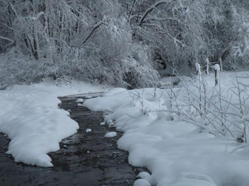 a stream covered in snow with trees in the background at Du Coté de chez Jeanne, Suite in Verviers