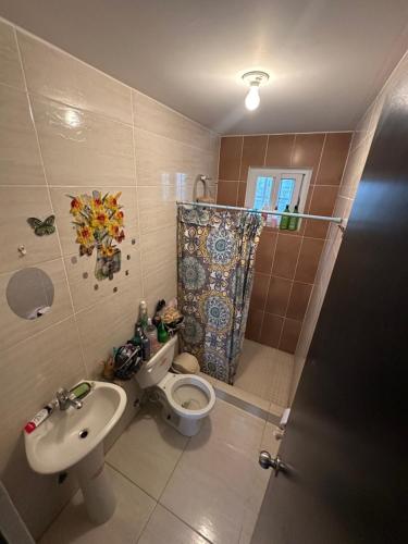 a bathroom with a toilet and a sink and a shower at Habitacion amoblada frente al 99 de brisas del golf arraijan in ArraijÃ¡n