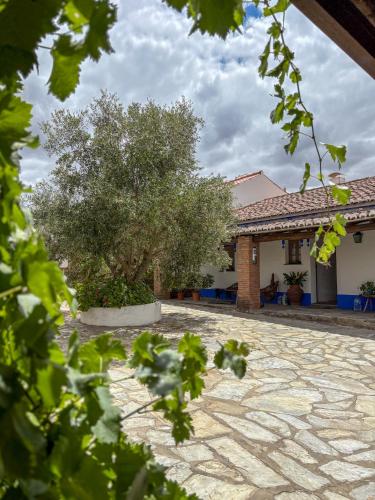 a house with a tree and a stone courtyard at Casa Mira in Montes Juntos