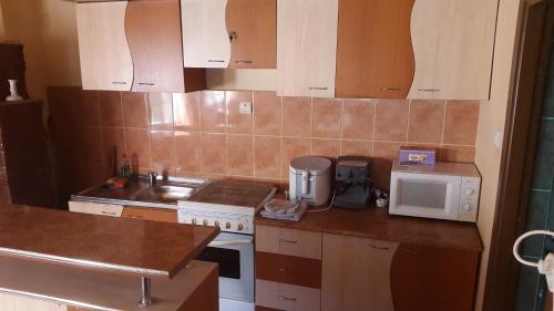 a small kitchen with a sink and a microwave at Cabana Izvorul Ariesului in Vartop