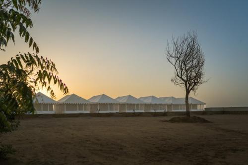 a building with a tree in the middle of a field at Desert Island Camp & Resort Jaisalmer in Jaisalmer