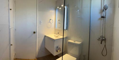 a bathroom with a shower and a toilet and a sink at Corbeta in Piriápolis