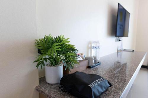 a black bag sitting on a counter with a potted plant at The Nest Krabi Hotel in Ao Nang Beach