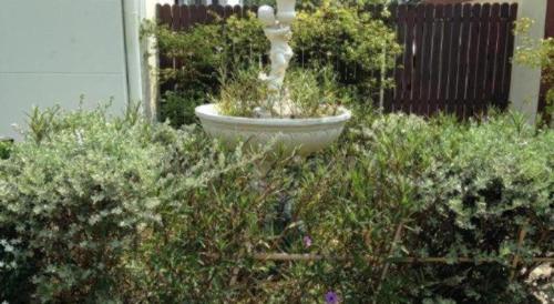 a fountain in the middle of a garden at C2 Residence Hotel in Lampang