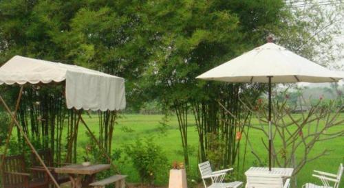 two umbrellas and a table and chairs in the rain at Indie House @ Maerim in Chiang Mai