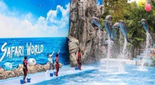 a group of people at a water park with dolphins at 5BOX Donmuang Airport in Bangkok