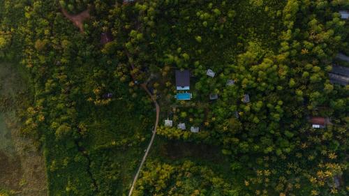 an overhead view of a forest with houses and trees at Sola - Boutique Hotel in Ahangama