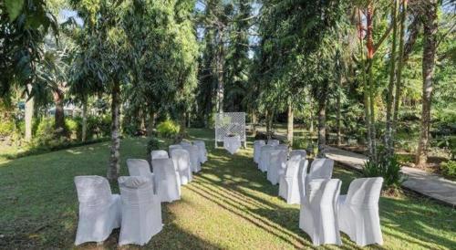 Un jardín fuera de Orator Hotel