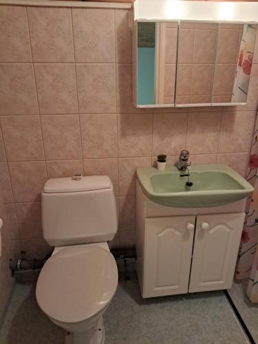 a bathroom with a toilet and a sink at Aalto A - A whole house with 5 bedrooms and a woodburning sauna in Oulu
