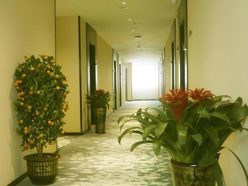 a corridor with potted plants in a hallway at GreenTree Inn Yichun Mingyueshan Airport in Yichun
