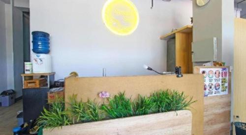 a frisbee is flying over a bench with plants at OYO 91531 Dreamstay 2 in Semarang
