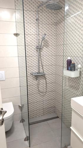a shower with a glass door in a bathroom at Apartment 211 in Neoi Epivates