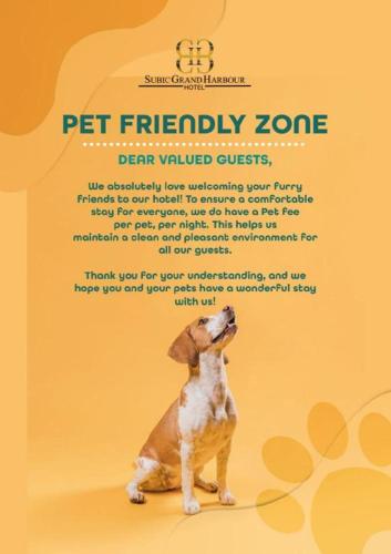 a flyer for a pet friendly zone dear virtual course at Subic Grand Harbour Hotel Subic Bay in Olongapo