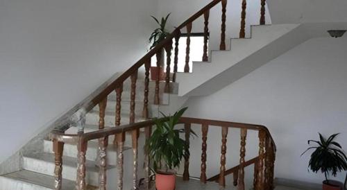Imagen de la galería de Hotel Norbu Sangpo, en Katmandú