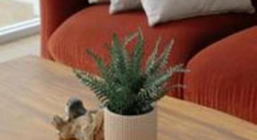 a potted plant on a table next to a couch at Kenari Tower Hotel in Makassar