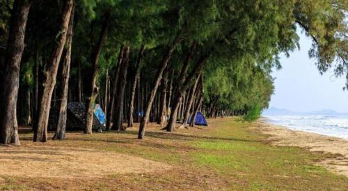 a row of trees on a beach with the ocean at Pilton Resort in Prachuap Khiri Khan