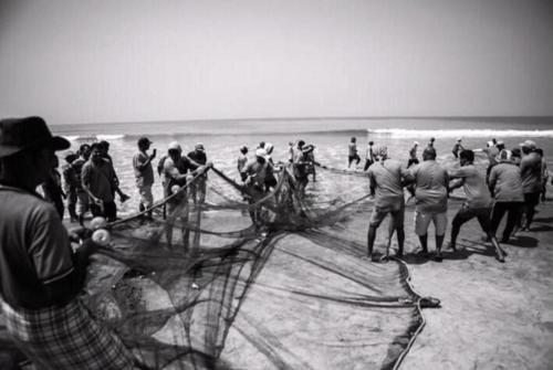 a group of people standing on a beach at IVON Guest House Arambol in Arambol