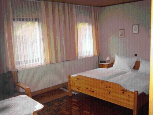 a bedroom with two beds and two windows at Landgasthof Wiesenmühle in Burg Hohenstein