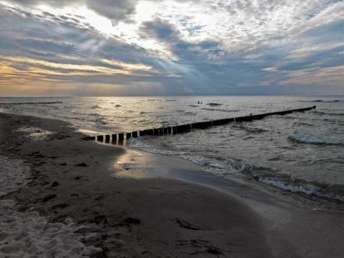 a beach with a pier in the water at Boutique Bungalow in Insel Poel with terrace in Insel Poel