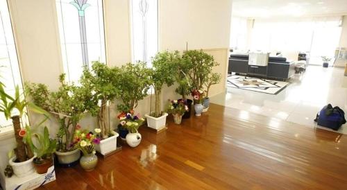 a room with a bunch of potted plants on the floor at Chino Station Hotel in Chino