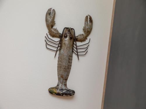 a skeleton of a lizard hanging on a wall at Unique apartment, located on the Oosterschelde and marina of Sint Annaland in Sint Annaland
