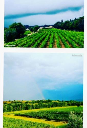 Φωτογραφία από το άλμπουμ του Séjour du bonheur σε 