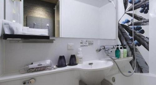 a white bathroom with a sink and a mirror at Hotel Ann Tsukiji in Tokyo