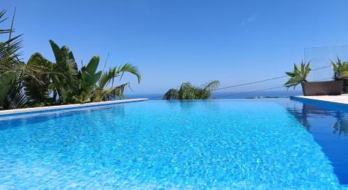 a swimming pool with blue water and palm trees at Happyplace Malaga -- Villa with Panoramic Sea View Heated Infinity Saltwater Pool in Málaga