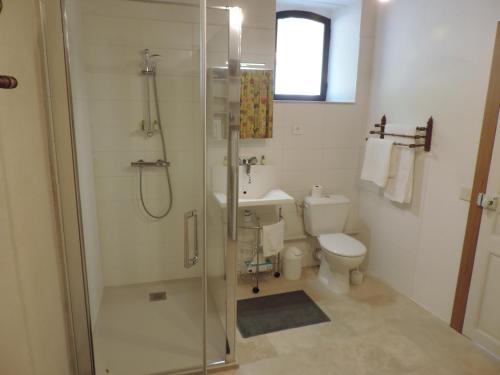 a bathroom with a shower and a toilet at Le Numéro 1, maisonnette en Puisaye in Toucy