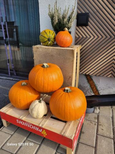 a group of pumpkins sitting on top of a bench at Chaty u Taty in Szlembark