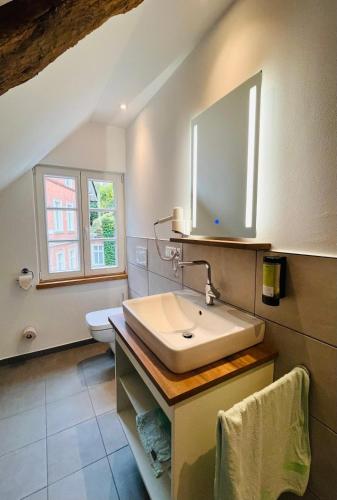 a bathroom with a sink and a toilet at Eibenhaus in Bad Iburg