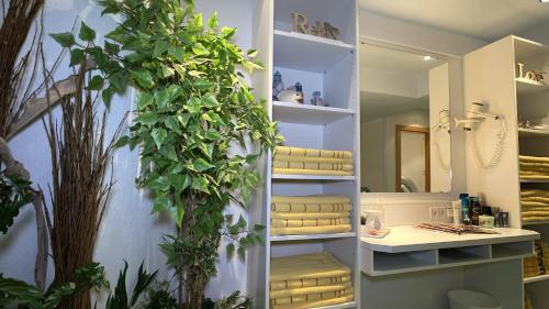 a room with a shelf with towels and a plant at Chasa Monthani in Ischgl