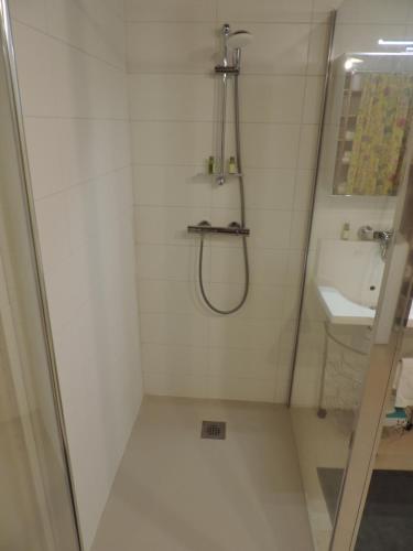 a bathroom with a shower and a sink at Le Numéro 1, maisonnette en Puisaye in Toucy