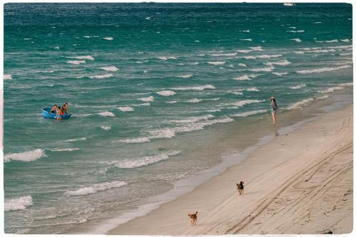 un gruppo di persone su una barca sulla spiaggia con due cani di Moc Mien Seaside Homestay & Coffee Doc Let a Doc Let