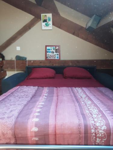 a large bed with red pillows in a bedroom at Chambres chez l'habitant in Valréas