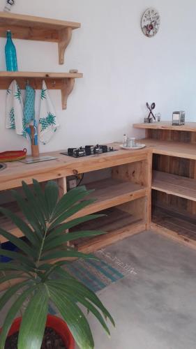 a wooden desk in a room with a plant at Studio Amanda in Nouvelle Découverte