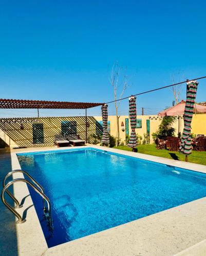 Πισίνα στο ή κοντά στο فيلا جاكرندا تونس Jacaranda Villa Tunis