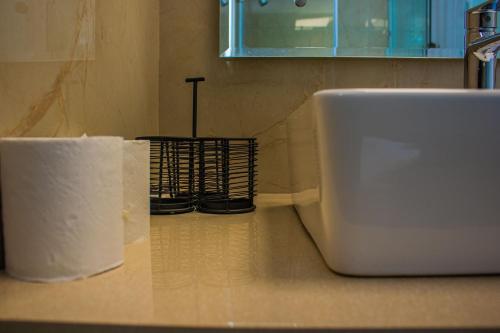 a counter with two rolls of toilet paper on it at Baagh-Bohemian 6BHK Farmhouse, Jagatpura, Jaipur in Jaipur